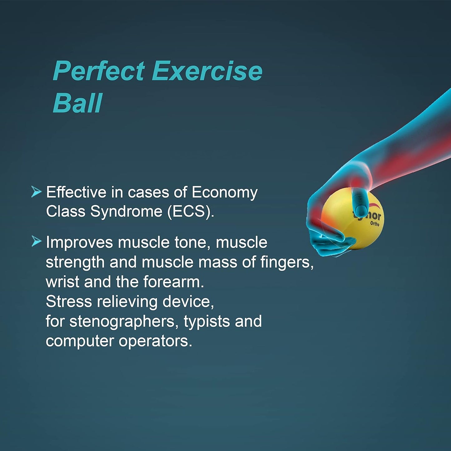 Tynor Exercise Ball
