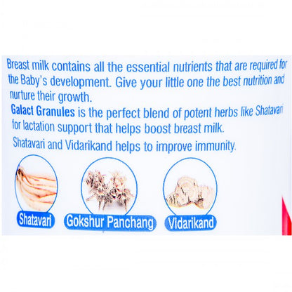 Galact Lactation Granules Kesar Flavour, 400gm