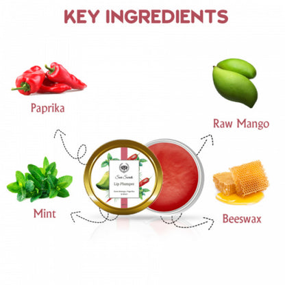 Seer Secrets Raw Mango, Paprika & Mint Lip Plumper, 8gm
